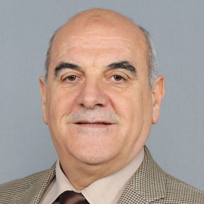 Professor Dr. Abdulhaq Abdulmajieed  Suleiman